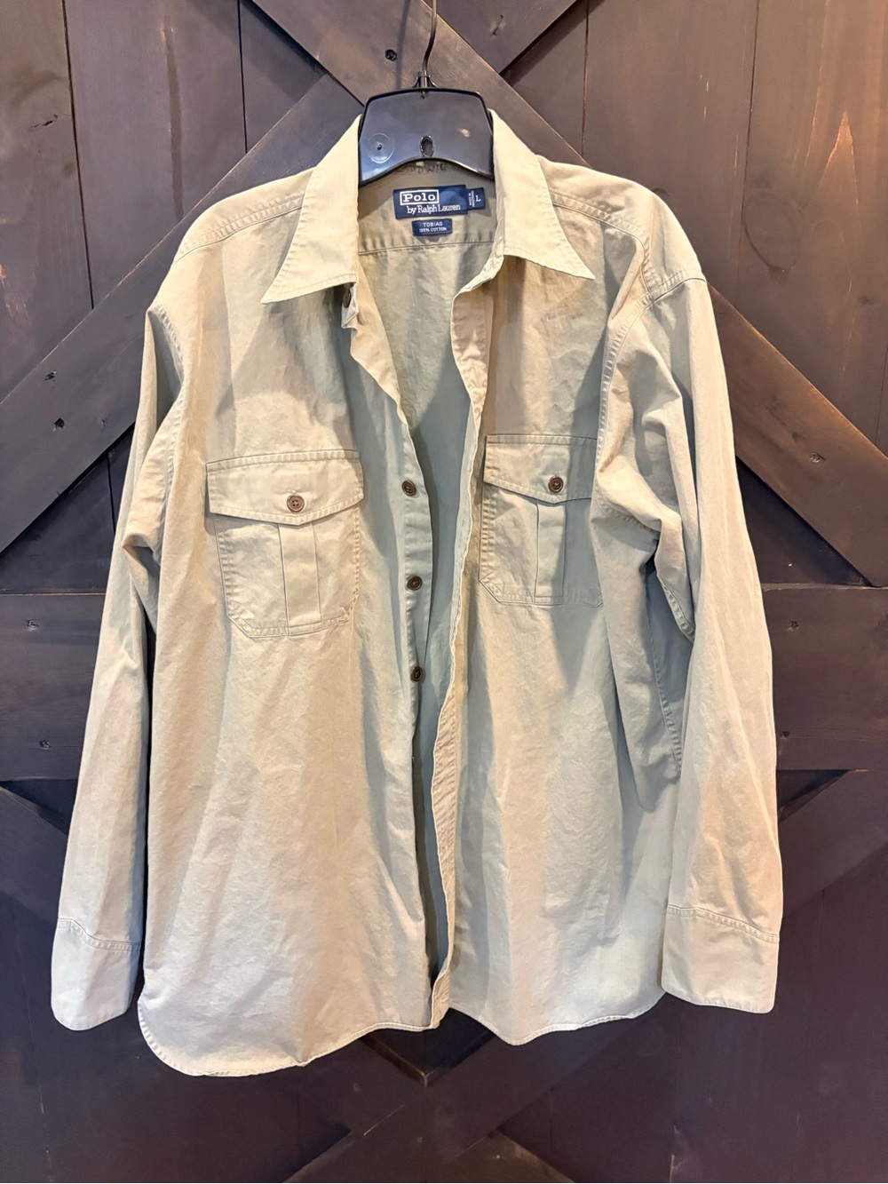 Ralph Lauren Tobias Casual Button-Down Shirt in green